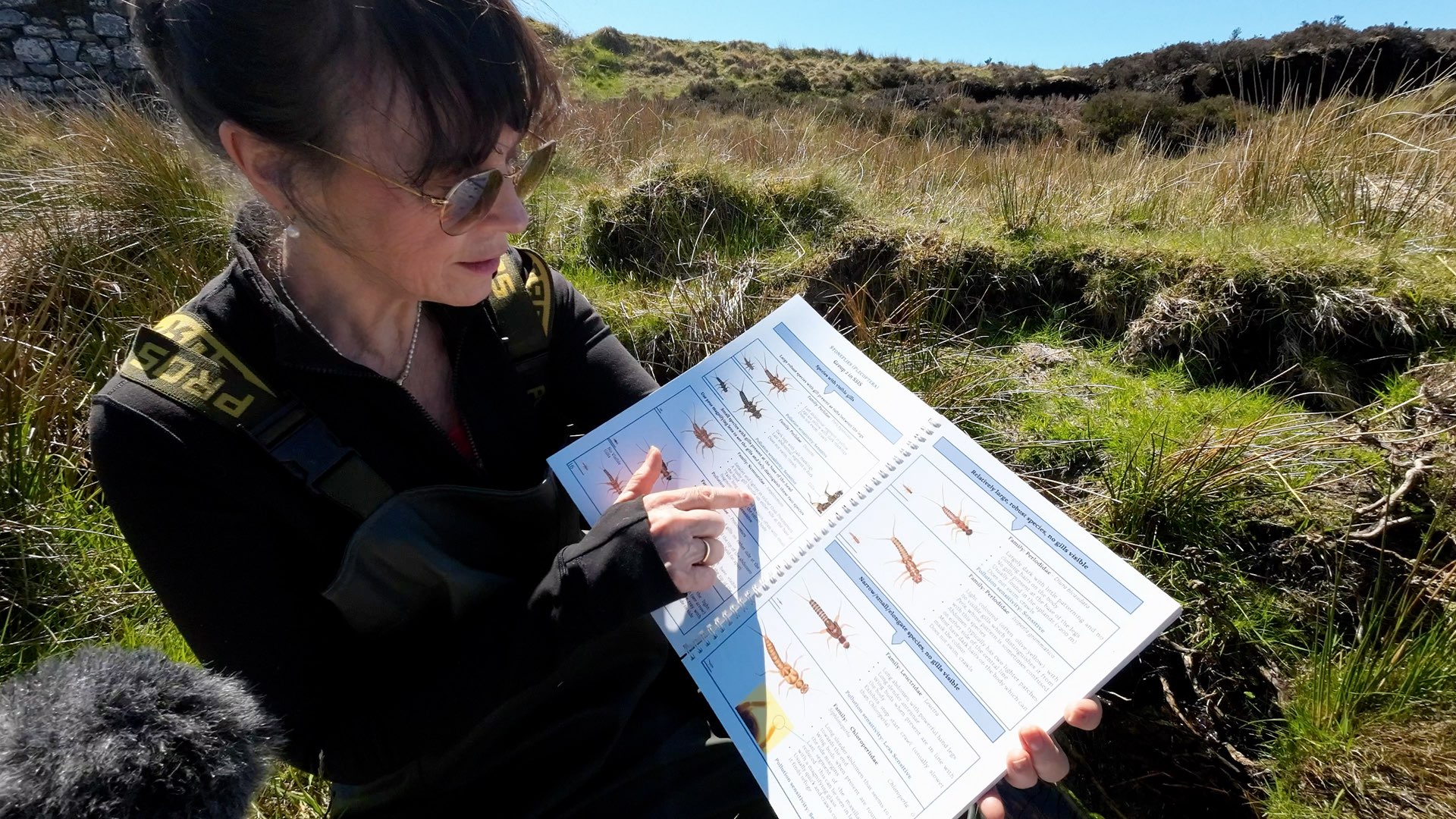 Catchments 2025 Liffey Head Bog